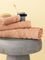   PALAMAIKI BEREN CARAMEL 100X1...