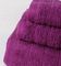   SB HOME BONZAI VIOLET  3