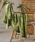   KENTIA AZORES GREEN/OFF-WHITE (80160CM)