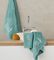   KENTIA THEONI GREEN 3