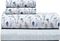    ERBE 10 WHITE/MINT GREEN  4  (240X270CM)