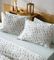    ERBE 10 WHITE/MINT GREEN  4  (240X270CM)