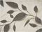  KENTIA FELCE BEIGE/GREY 4  33X45CM
