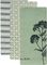    KENTIA FAZZY 256 MINT G...