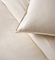   KENTIA EMPRESS 12 BEIGE (230X250CM)
