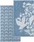    KENTIA KAORI 33 BLUE 2...