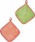    KENTIA JUNE STRAWBERRY PINK/GREEN 2