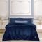 �������� ���� GREENWICH POLO CLUB 3487 BLUE (...