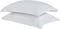 ������������� OXFORD DAS 8003 SATIN ������ 2 ...