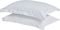 ������������� OXFORD DAS 8004 SATIN STRIPE ��...