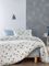 ΣΕΤ ΣΕΝΤΟΝΙΑ KING SIZE PALAMAIKH HOME FASHION LIFE FL6314 ΜΠΛΕ (280X265CM) ΣΕΤ ΣΕΝΤΟΝΙΑ KING SIZE PALAMAIKH HOME FASHION LIFE FL6314 ΜΠΛΕ (280X265CM)