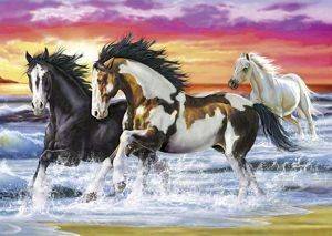 ����� ��� ������������ - 2000 ��������