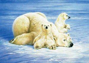 ������� �������� - 1000 ��������