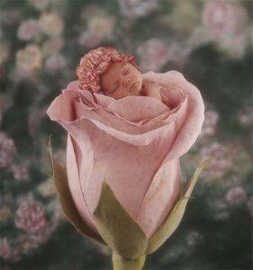 ��������������� ����� - 500 ��������