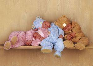 ���� ����� ����������