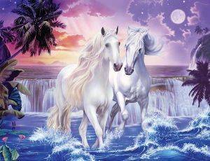 ����� ����� 2000 ��������