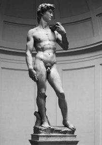 IL DAVID 1000 ΚΟΜΜΑΤΙΑ IL DAVID 1000 ΚΟΜΜΑΤΙΑ
