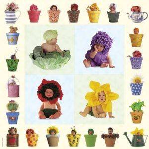 ������� �� ��������