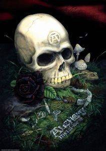 ������������  1000 ��������