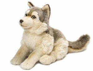 WWF ����� �������� 38��