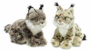 �������� WWF ���� ����/����  23��