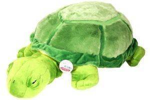 �������� ������ 62��