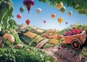 ���  ���� ��� ��������� - 1000 ��������