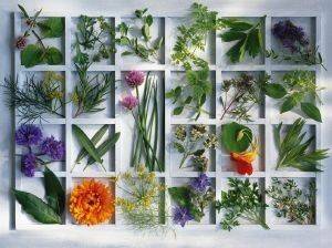 ������� ���������� 1500 ��������