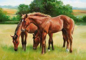 ����� ��� ����� 1500 ��������