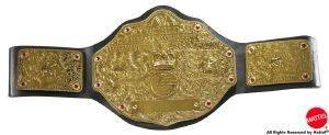 WWE FLEXFORCE  WORLD HEAVYWEIGHT CHAMPIONSHIP