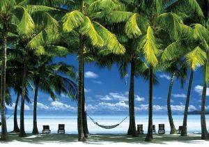 ����� ���� 1500 ��������