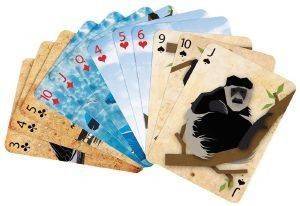 WWF,  �������� �� ������