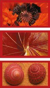 ������� ���������� �� �������  �������� 1500 ��������