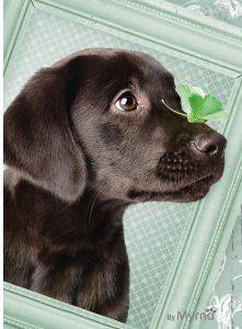 ������ �������  500 ��������