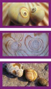 ������� ���������� ���� ���� �������� 1500 ��������