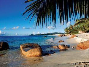 ���� ��� ���� �������� 1000 ��������