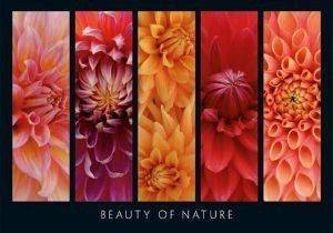 � ������� ��� ����� 1000 ��������