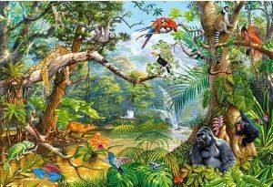 LIFE HIDDEN IN JUNGLE - 2000 ��������