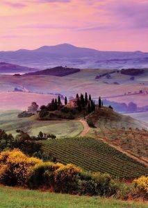 ����� ��� ������� - 1000 ��������