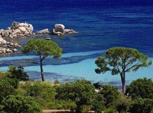 ���������� - 1500 ��������