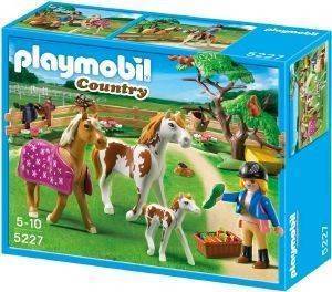 PLAYMOBIL      5227