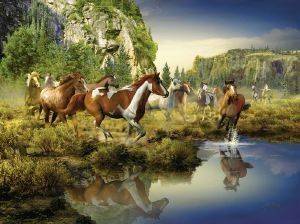 ����� ����� RAVENSBURGER PUZZLE  1500 ��������