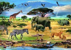 ΖΩΑ ΤΗΣ ΑΦΡΙΚΗΣ RAVENSBURGER PUZZLE AUGMENTED REALITY 1000 ΚΟΜΜΑΤΙΑ ΖΩΑ ΤΗΣ ΑΦΡΙΚΗΣ RAVENSBURGER PUZZLE AUGMENTED REALITY 1000 ΚΟΜΜΑΤΙΑ