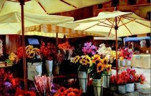 CAMPO DE FIORI EDUCA 3000 ΚΟΜΜΑΤΙΑ CAMPO DE FIORI EDUCA 3000 ΚΟΜΜΑΤΙΑ