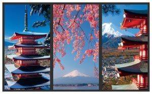 ���� ������ ��� �������� RAVENSBURGER  �������� 1500 ��������