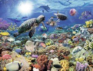 � ��� ���� ������������ RAVENSBURGER PUZZLE  2000 ��������