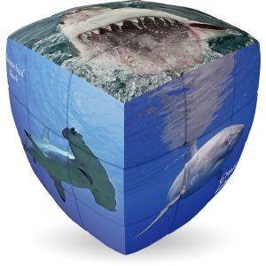 SHARKS V-CUBE WILDLIFE AND NATURAL PILLOW 22