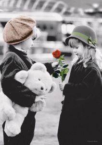 THE ROSE CASTORLAND 500 ��������