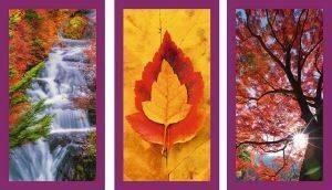 ���������    RAVENSBURGER �������� 1500 ��������