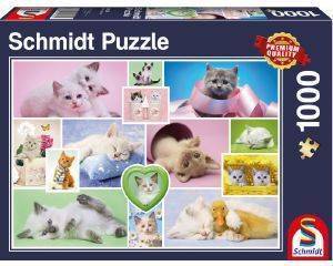 ����� ����� SCHMIDT  1000 ��������